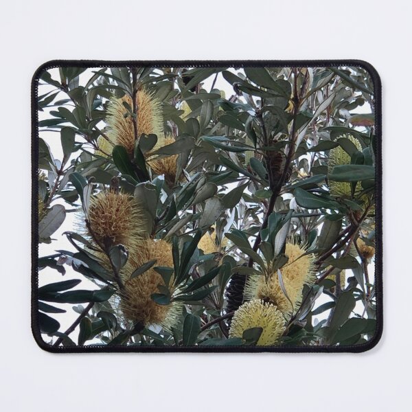 Item preview, Australian native bottle brush in yellow flower designed and sold by smh2.