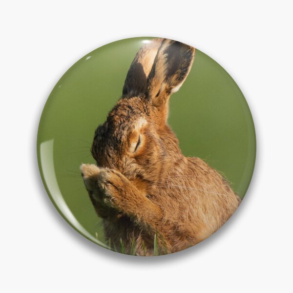 Item preview, Hare Prayer. designed and sold by JoHackman.