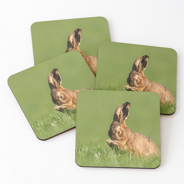 Item preview, Hare Prayers 2 designed and sold by JoHackman.