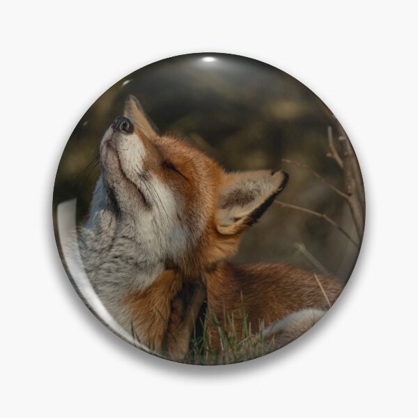 Item preview, Foxy Itch designed and sold by JoHackman.
