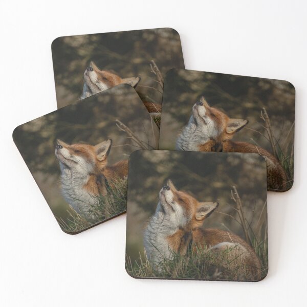 Item preview, Foxy Itch designed and sold by JoHackman.