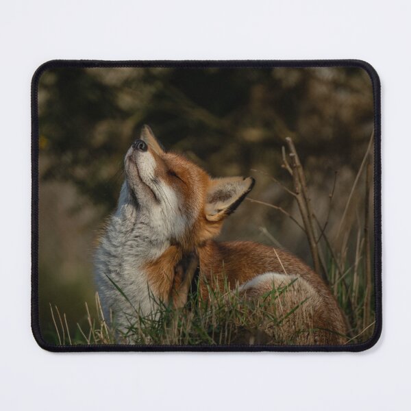 Item preview, Foxy Itch designed and sold by JoHackman.