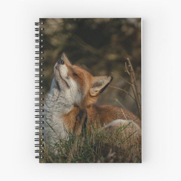 Item preview, Foxy Itch designed and sold by JoHackman.