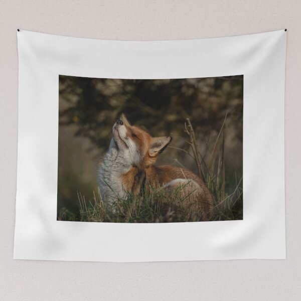 Item preview, Foxy Itch designed and sold by JoHackman.