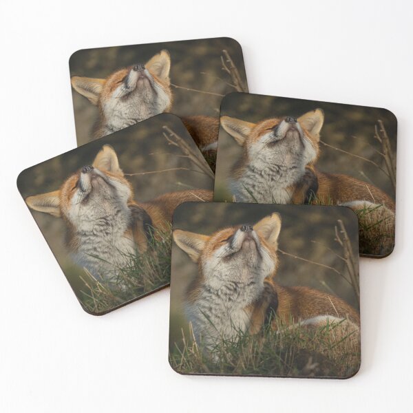 Item preview, Itchy foxy designed and sold by JoHackman.
