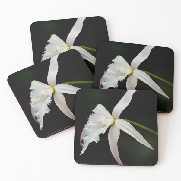 Item preview, Brassavola Orchid designed and sold by Michael Cummings.