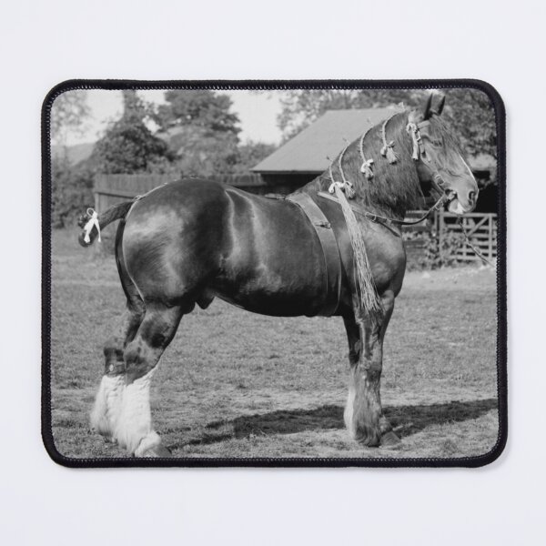 Item preview, Sufflok Punch Horse designed and sold by Kawka.