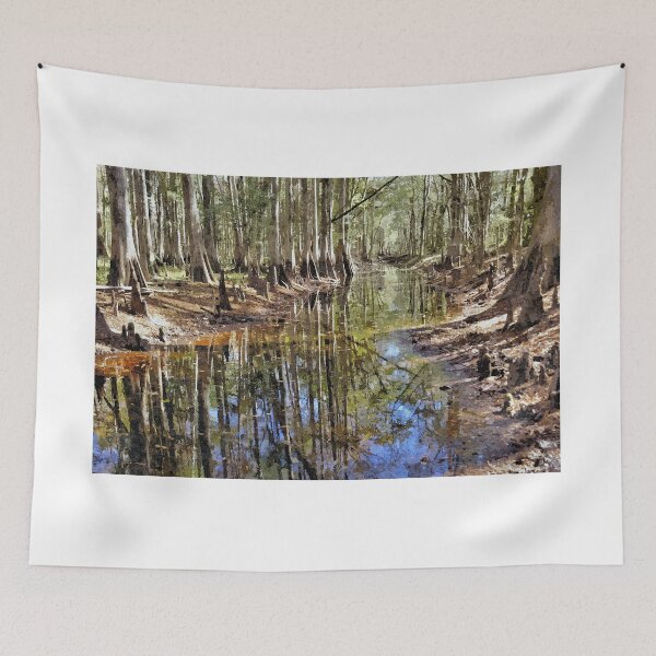 Item preview, Stream Through A Florida Forest 1 - Artistic designed and sold by jtrommer.