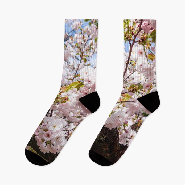 Item preview, Close Up blooming cherry blossom Tokyo Shinjuku Park designed and sold by Martin Berry Photography.