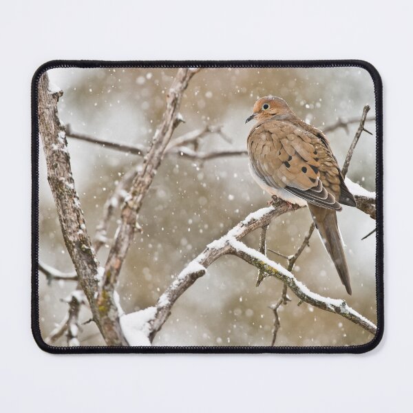 Item preview, Mourning Dove designed and sold by Michael Cummings.