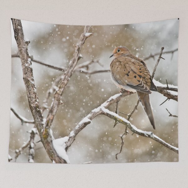 Item preview, Mourning Dove designed and sold by Michael Cummings.