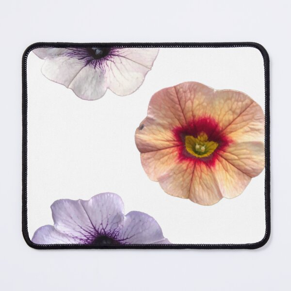 Item preview, Petunias  designed and sold by Phoebew03.