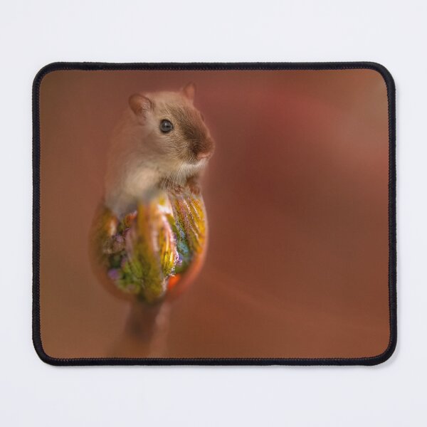 Item preview, The hazel dormouse also enjoys buds in spring designed and sold by OskiOnTour.