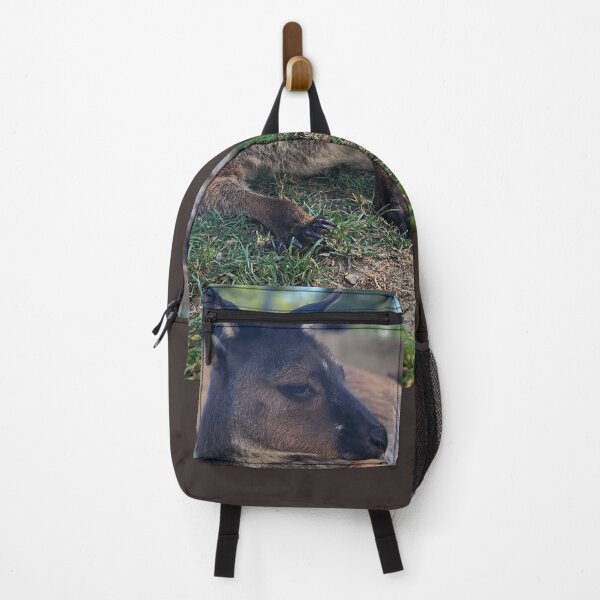 Item preview, Relaxing Kangaroo Selfie at Ballarat Wildlife Park designed and sold by Michael Voyler.