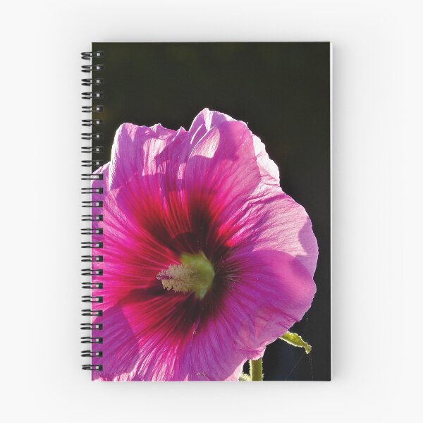 Item preview, Hollyhock in the light designed and sold by ART22.