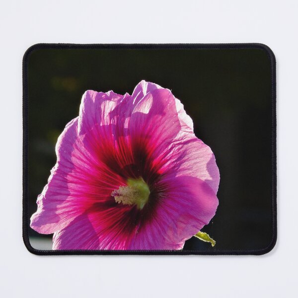 Item preview, Hollyhock in the light designed and sold by ART22.
