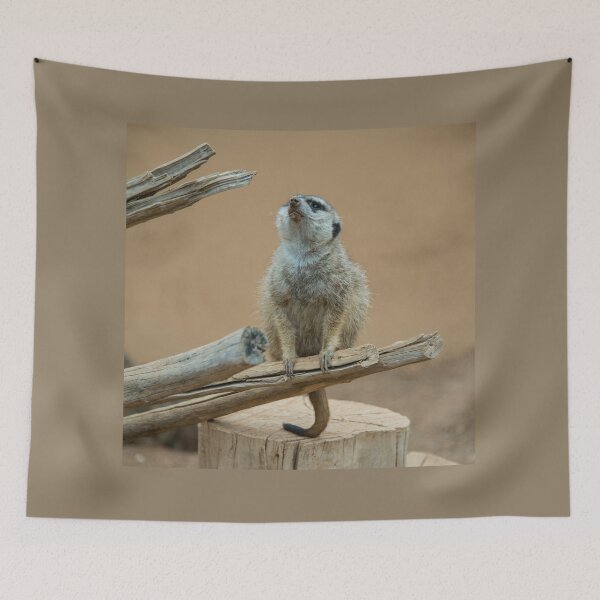 Item preview, Snout of Meerkat designed and sold by hawkie.