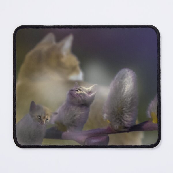 Item preview, This is how kittens are really created designed and sold by OskiOnTour.