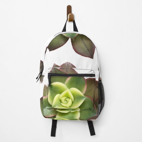 Item preview, Aeonium kiwi designed and sold by Phoebew03.