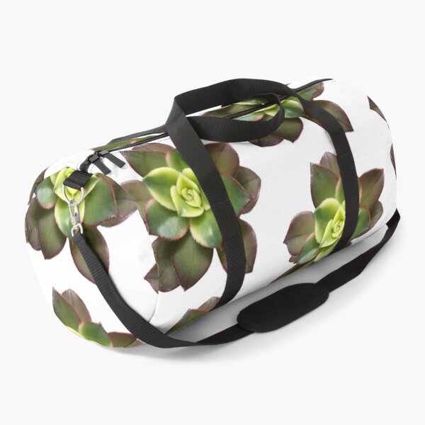 Item preview, Aeonium kiwi  designed and sold by Phoebew03.