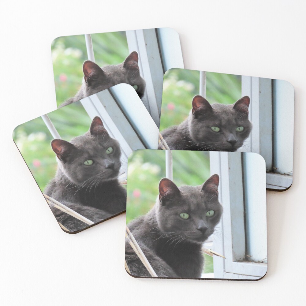 Item preview, Coasters (Set of 4) designed and sold by ART22.