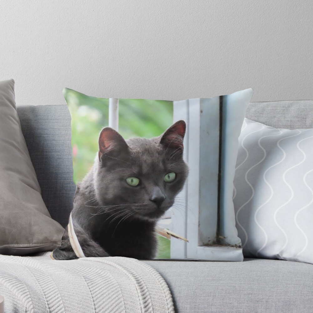 Item preview, Throw Pillow designed and sold by ART22.