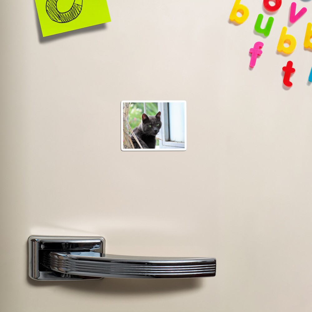 Item preview, Magnet designed and sold by ART22.