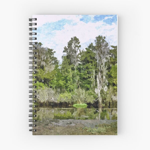 Item preview, Florida River 6 - Artistic designed and sold by jtrommer.