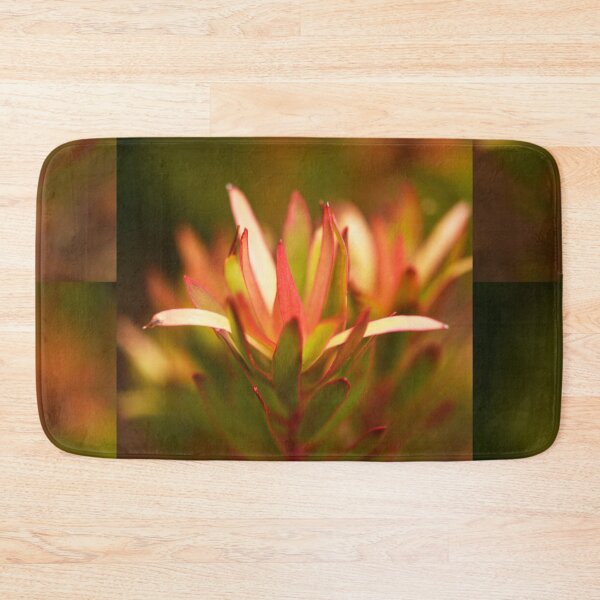 Item preview, Leucadendron, Safari Sunset, Catching the Sun designed and sold by imaginethis.