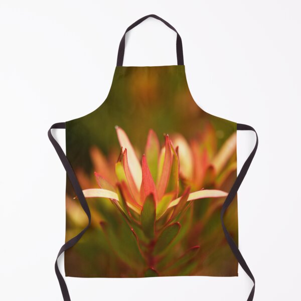 Item preview, Leucadendron, Safari Sunset, Catching the Sun designed and sold by imaginethis.
