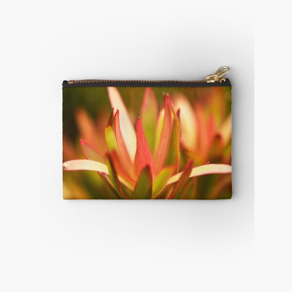 Item preview, Leucadendron, Safari Sunset, Catching the Sun designed and sold by imaginethis.