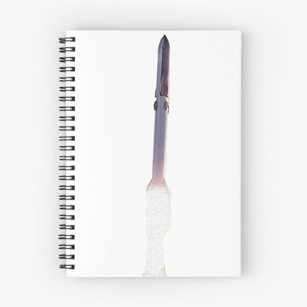 Item preview, Starship Launch | SpaceX designed and sold by lightjourney.