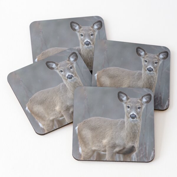 Item preview, Sweet Whitetail Deer designed and sold by LisaNaturePhoto.