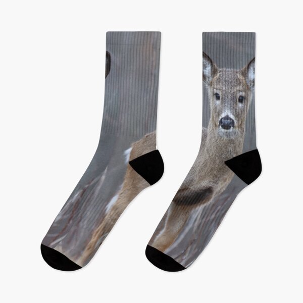 Item preview, Sweet Whitetail Deer designed and sold by LisaNaturePhoto.