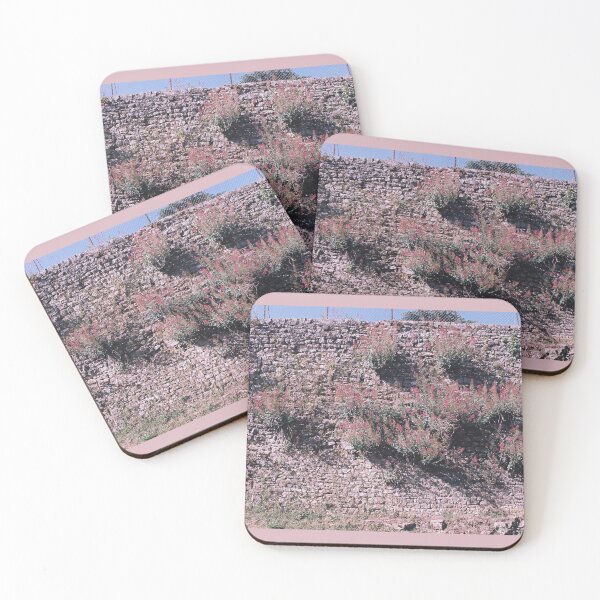 Item preview, Flowering stones - Dilay - Excursions designed and sold by minneyael.