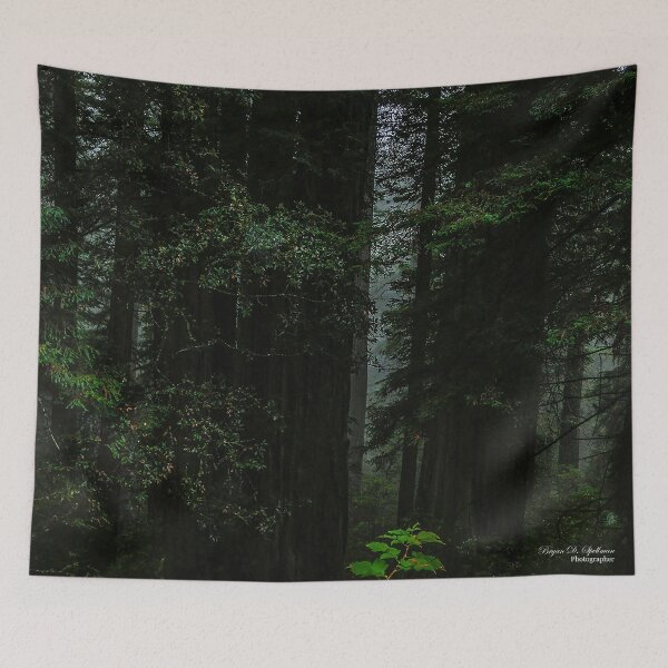 Item preview, Dark Forest designed and sold by Bryan Spellman.