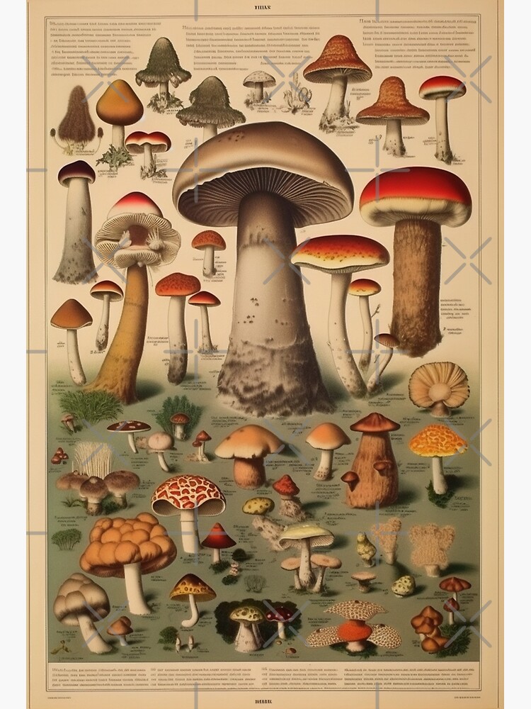 Carte de vœux for Sale avec l'œuvre « Fée aux champignons verts mangeant du  pudding aux mûres (sculpture) » de l'artiste Verianae's Mythical Creatures