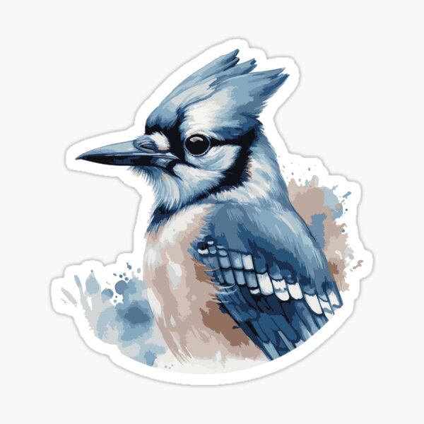 blue jay (#060) T-shirt for Sale by 365animals, Redbubble