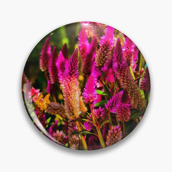 Item preview, Intriguing Amaranthus designed and sold by alabca.