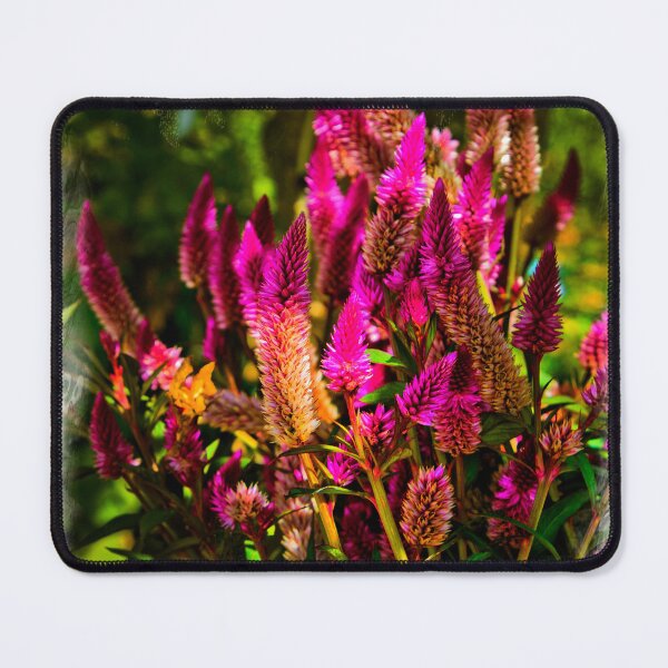 Item preview, Intriguing Amaranthus designed and sold by alabca.