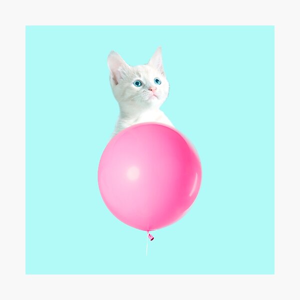 White Cat's Travel by Pink Balloon by Alice Monber Photographic Print