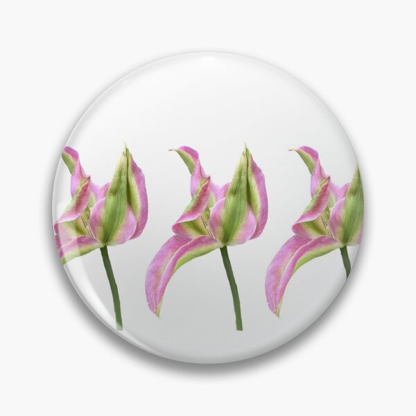 Item preview, 3 pink-green tulips designed and sold by Binas-gallery.