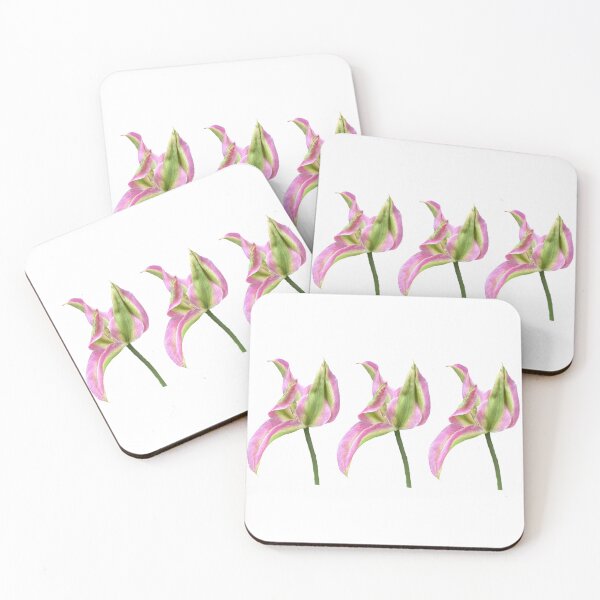 Item preview, 3 pink-green tulips designed and sold by Binas-gallery.