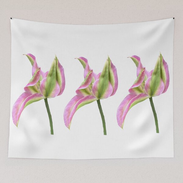 Item preview, 3 pink-green tulips designed and sold by Binas-gallery.