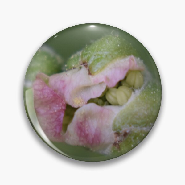 Item preview, Blackberry flower buds  designed and sold by Tonia Delozier's Photography .