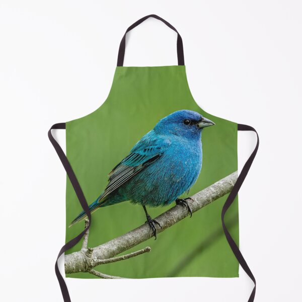 Artikelvorschau, Indigo Bunting entworfen und verkauft von Michael Cummings.