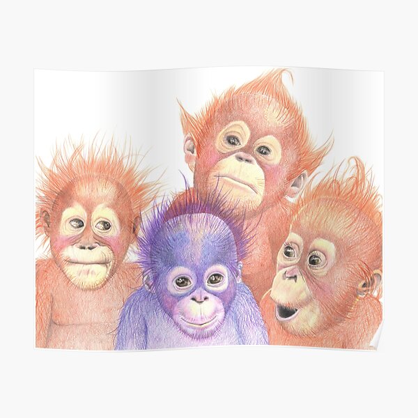 Orangutans, Orange, Purple, Babies Poster