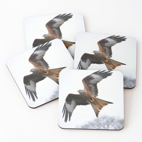 Item preview, Milvus Milvus designed and sold by Wildlifespotter.