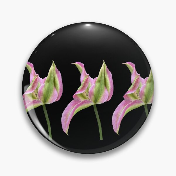 Item preview, 3 pink-green tulips with black background designed and sold by Binas-gallery.