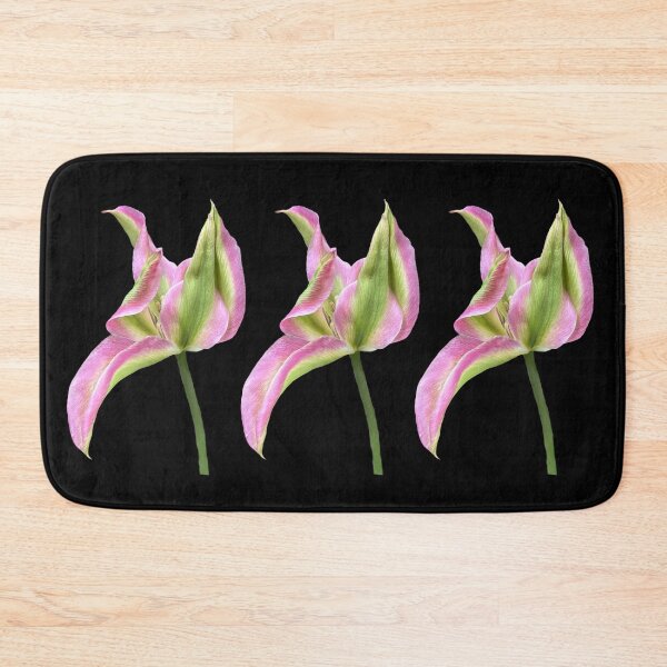 Item preview, 3 pink-green tulips with black background designed and sold by Binas-gallery.